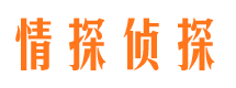 新城区侦探